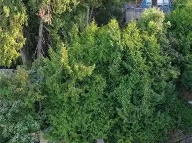 2961 Dolphin Dr, Nanoose Bay, BC, V9P 9J3 house for sale Li.