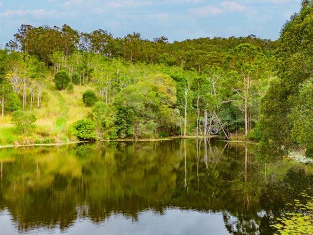 297 Acres Massive PRICE REDUCTION