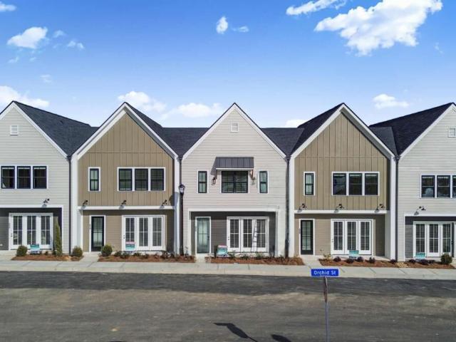 297 Orchid Street