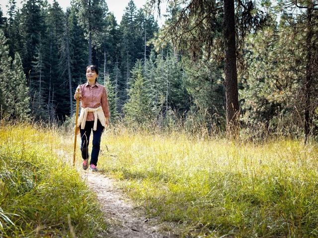 29817 Lucky Pines Street