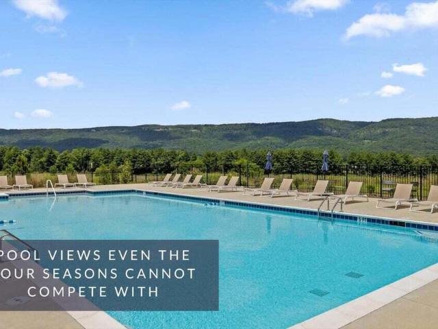 298 Pinnacle Point Lane