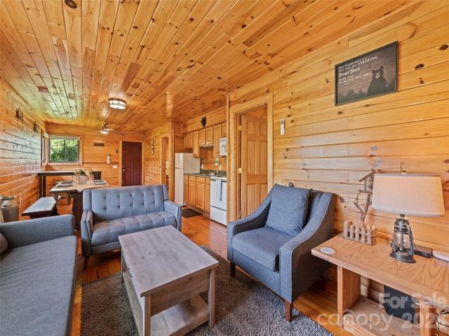 299 Blue Ridge Parkway