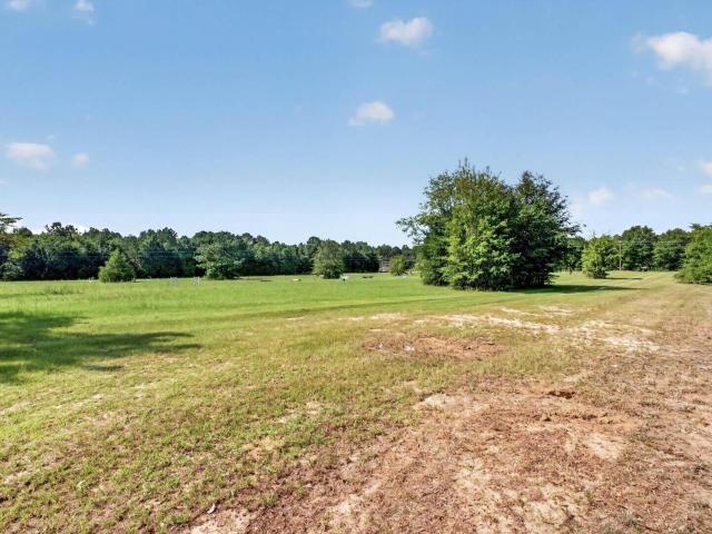 299 Poinsettia Road