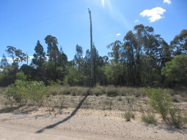 29.65 Acres of untouched land