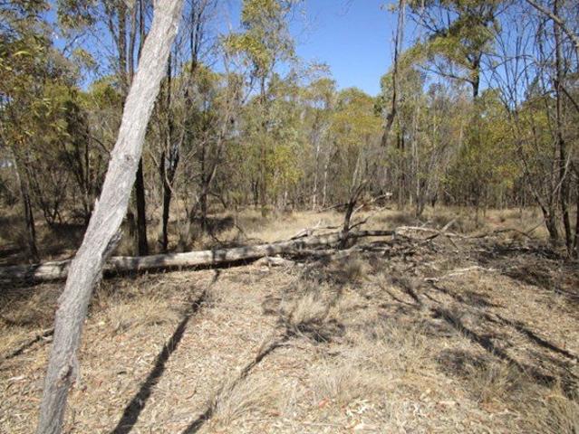 29.65 acres of blank canvas for you
