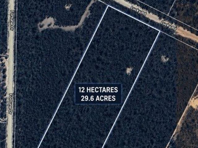 29.65 Acres of Opportunity