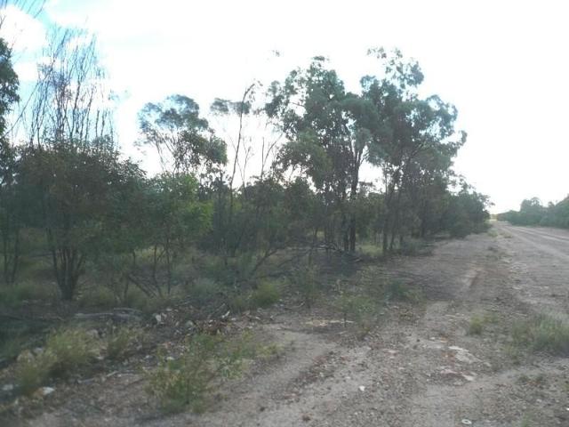 29.65 Acres priced to sell