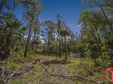 29 acres of Coastal Hinterland Freedom