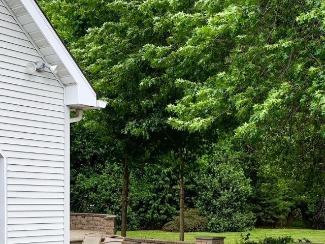 29 Birdsall Dr