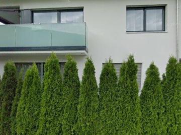 2 m2 apartment for rent in Toggenburg