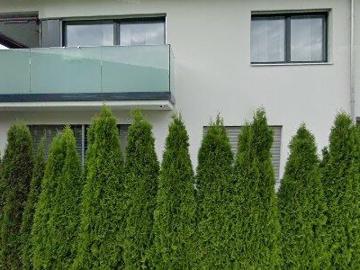 2 m2 apartment for rent in Toggenburg