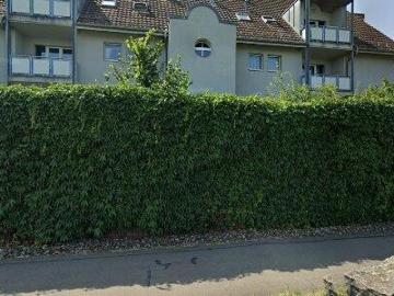 Dällikon, Bezirk Dielsdorf, Kanton Zürich