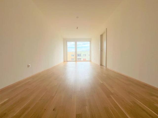 2 MONATE MIETFREI | City Living | NEUE KÜCHENEINRICHTUNG