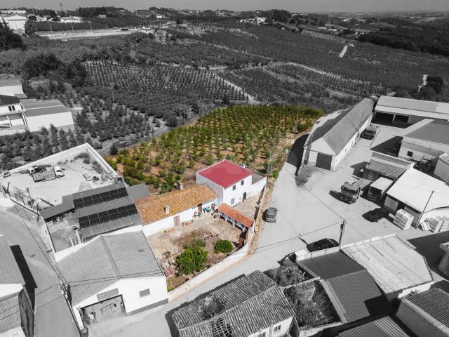 2 Moradias num terreno de 6117m2 | Carvalhal | Bombarral 84m² Bombarral e Vale Covo