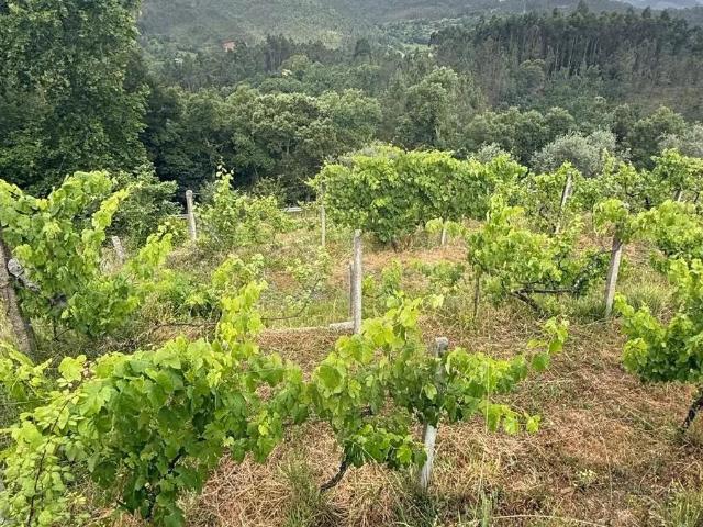 2 Moradias à venda em Castelo de Paiva