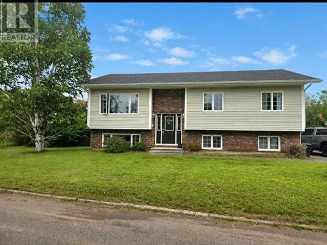 2 Morgan Street, Bishop'S Falls, NL, A0H 1C0 house for sale | Listing ID 1302 | Royal LePage