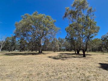 2 Acres Bitumen Frontage Established Trees Short Drive to Shopping