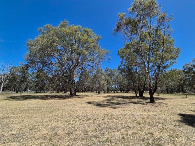 2 Acres Bitumen Frontage Established Trees Short Drive to Shopping