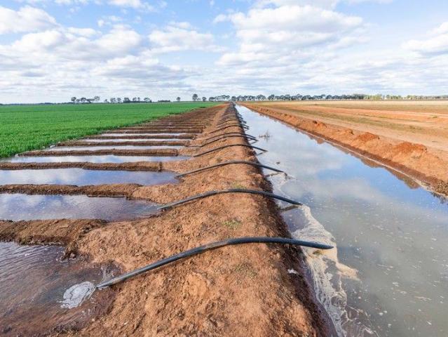 2 Adjoining, Highly Productive Irrigation Properties