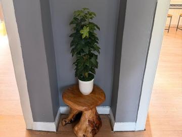 Edinburgh, Shetland - Fireplace, Equipped kitchen