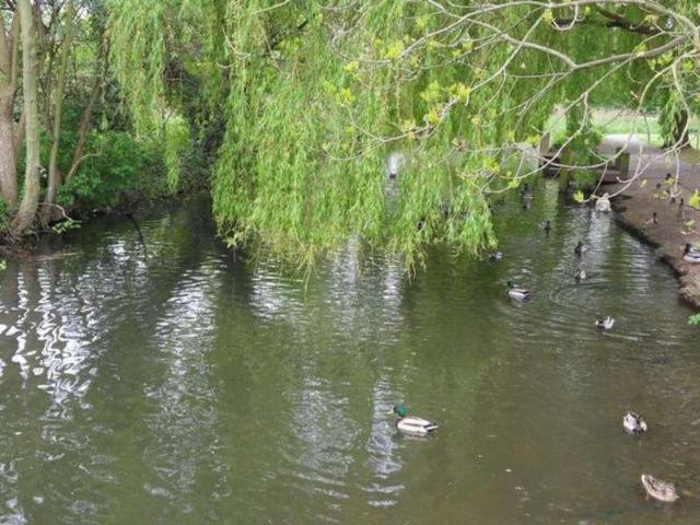 2 bed flat for sale