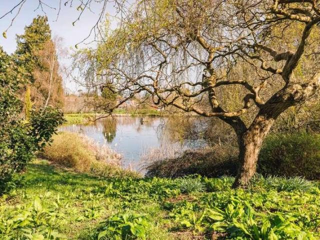 2 bed flat for sale