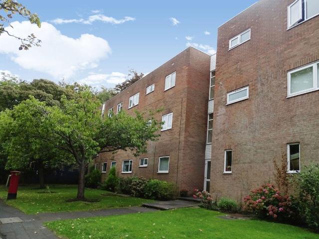 2 bed flat to rent