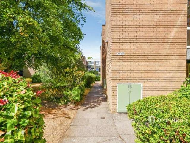 2 bed flat to rent