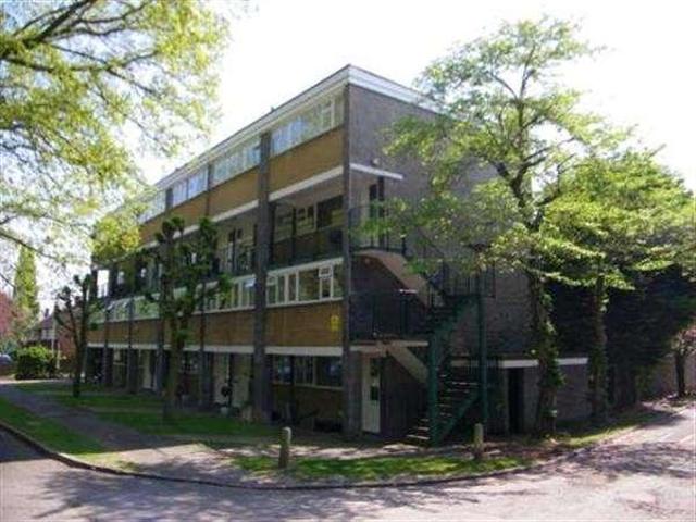 2 bed flat to rent