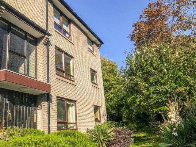 2 bed flat to rent