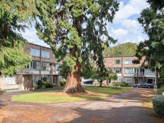 2 bed flat to rent