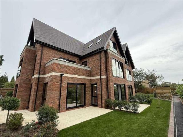 2 bed flat to rent
