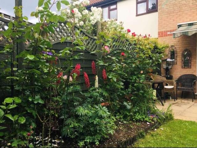 2 bed house for sale