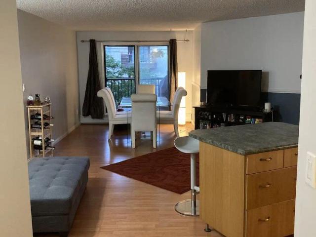 2 Bedroom Condo All utilities included with huge balcony! — 2 Bedrooms Condo Unit