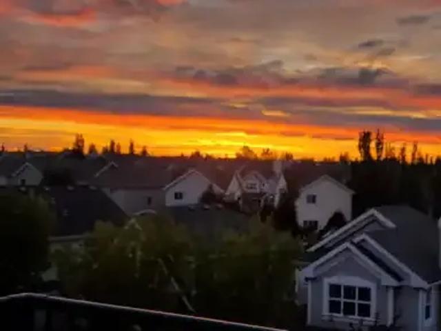 2 Bedroom Condo Edmonton AB 106031296
