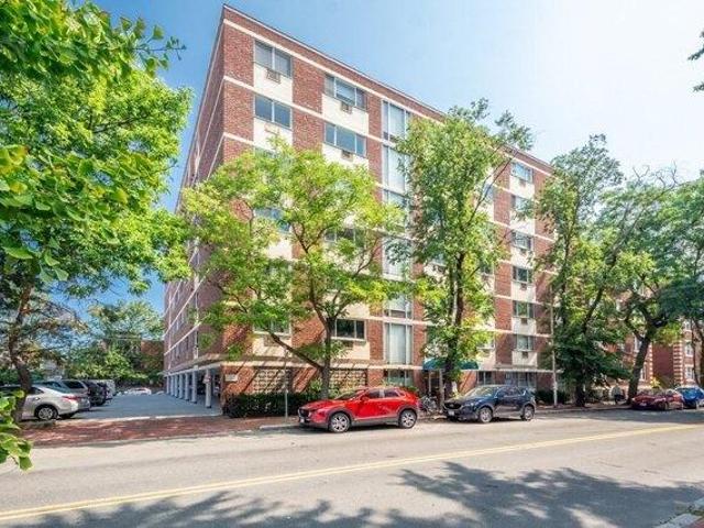 2 bedroom, Cambridge MA 02139 105561914