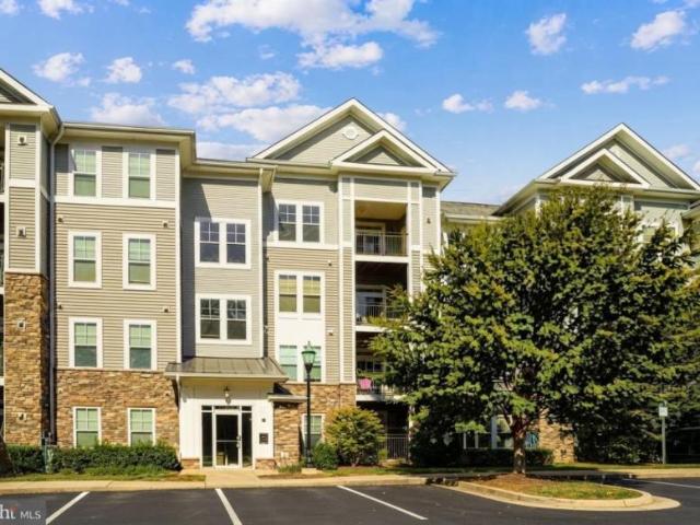2 bedroom, Capitol Heights MD 20743 105848357