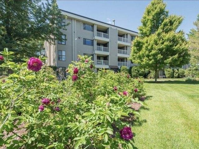 2 bedroom, Chelmsford MA 01824 104375303
