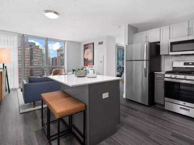 2 bedroom, Chicago IL 60601 105747841