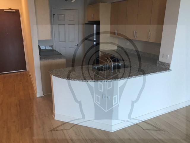 2 bedroom, CHICAGO IL 60605 78117520
