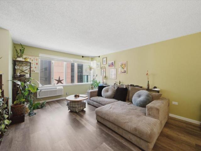 2 bedroom, Chicago IL 60605 102744869