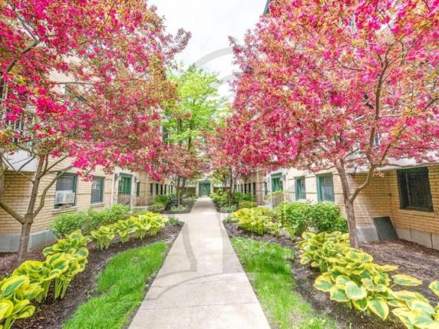 2 bedroom, CHICAGO IL 60613 87023776