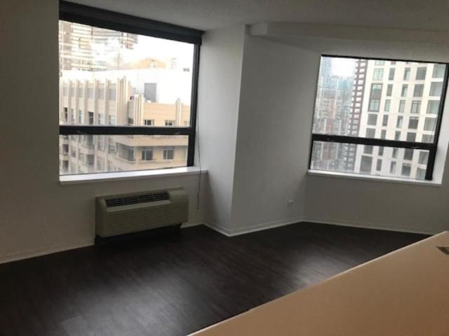 2 bedroom, Chicago IL 60611 100701344
