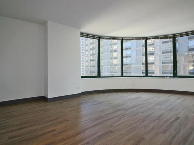 2 bedroom, Chicago IL 60611 105733781