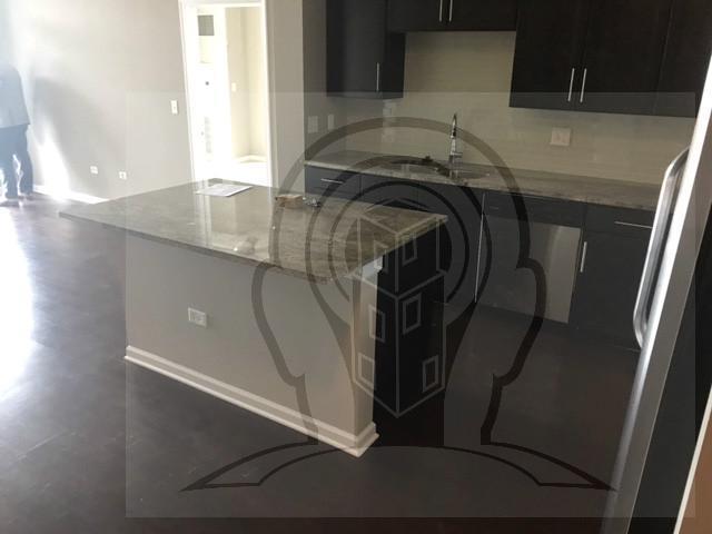 2 bedroom, CHICAGO IL 60616 78117819