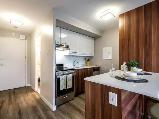 2 Bedroom Apartment Montreal QC 102271582