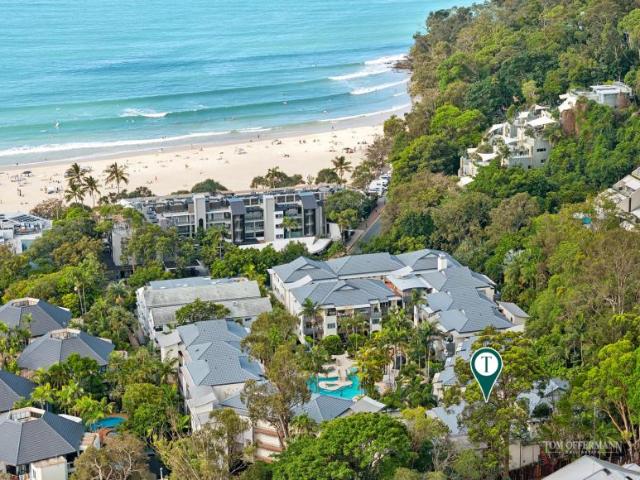 2 Bedroom Apartment Noosa Heads QLD 104785959