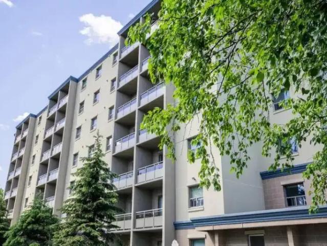 2 Bedroom Apartment Orillia ON 104863096