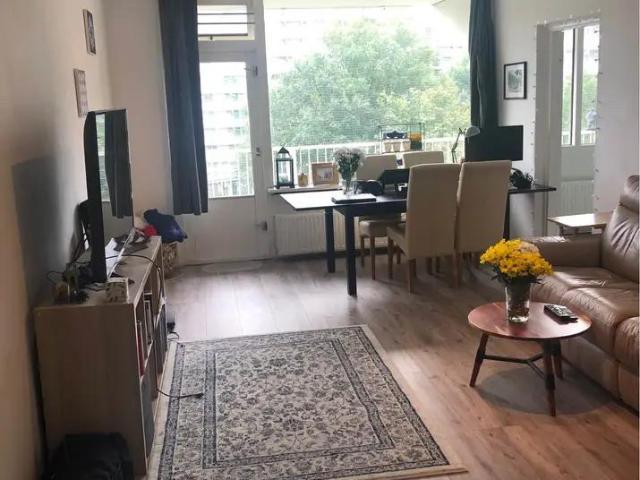 2 Bedroom Apartment Available in Amsterdam