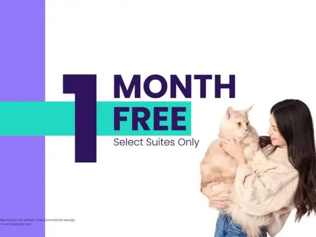 2 Bedroom Apartment Abbotsford BC 104887577